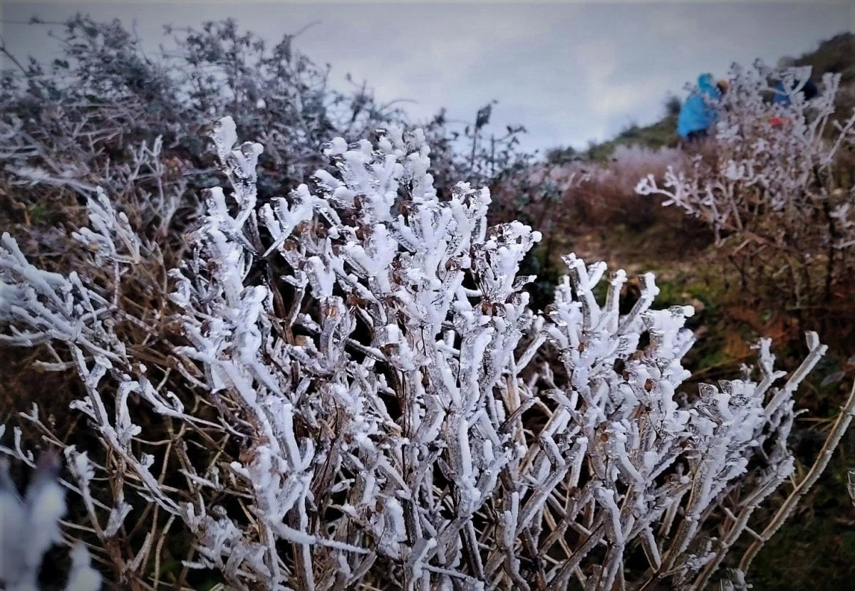 Ta Chi Nhu Peak in Yen Bai is fully covered in frost and snow